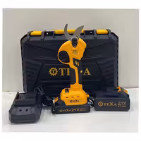 قیچی شارژی باغبانی تگزا