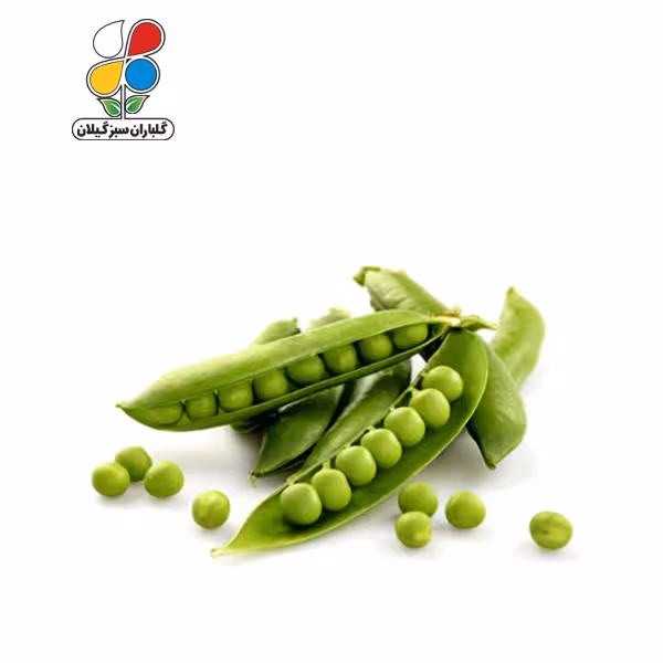 بذر نخود فرنگی بسته بندی بزرگ