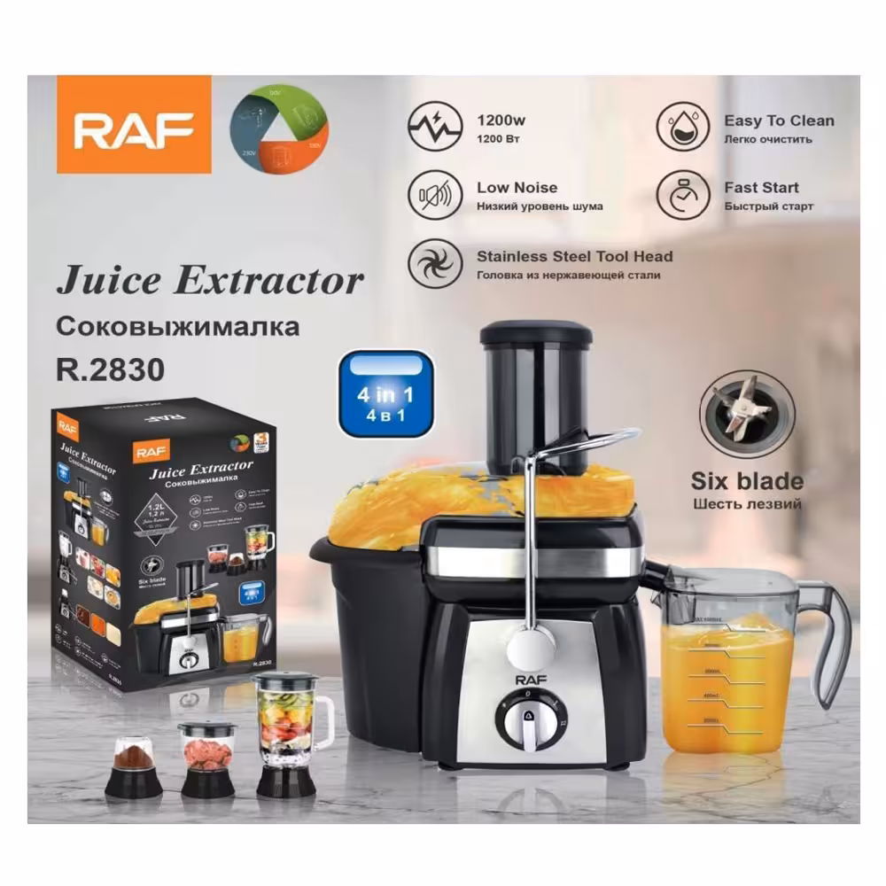 آبمیوه گیری حرفه ای راف مدل R.2830