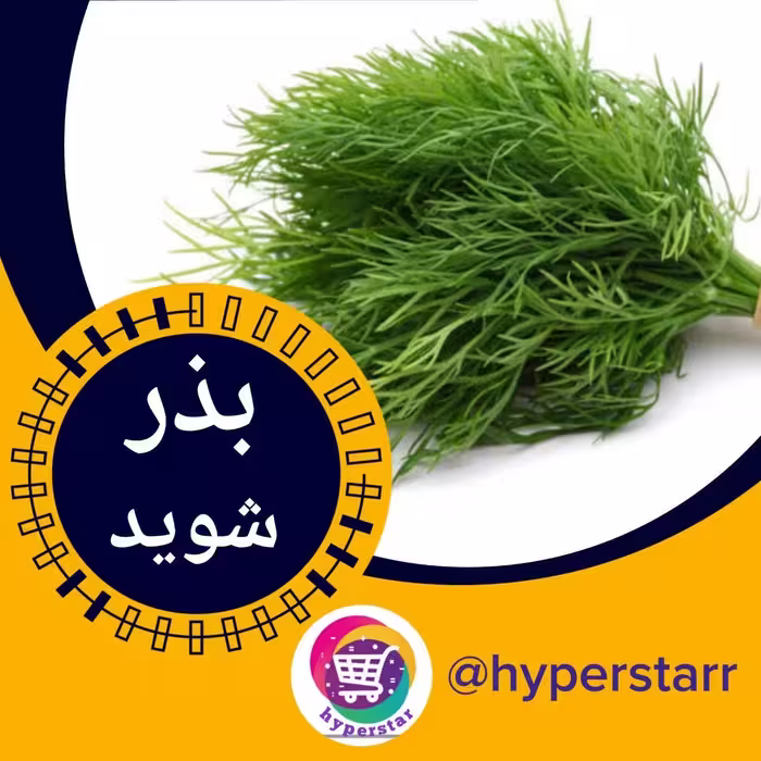 بذر شوید 