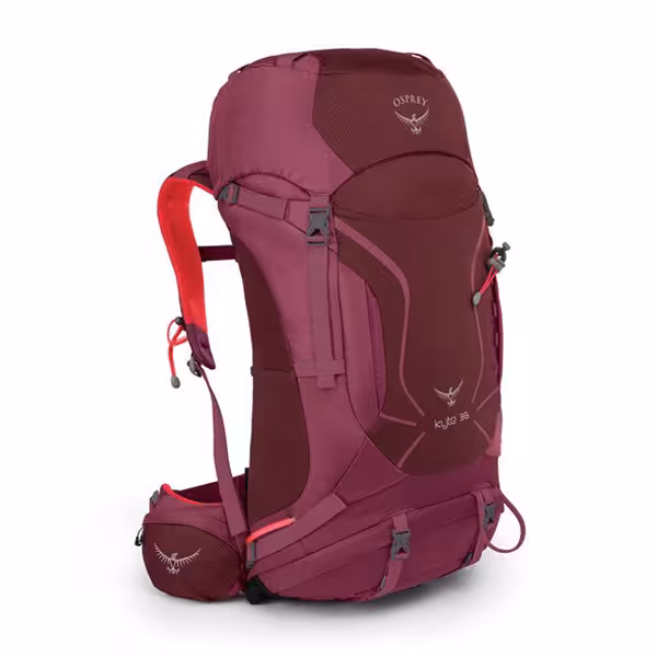 کوله پشتی پیاده روی یک روزه 36 لیتری WS/M زنانه آسپری مدل Kyte