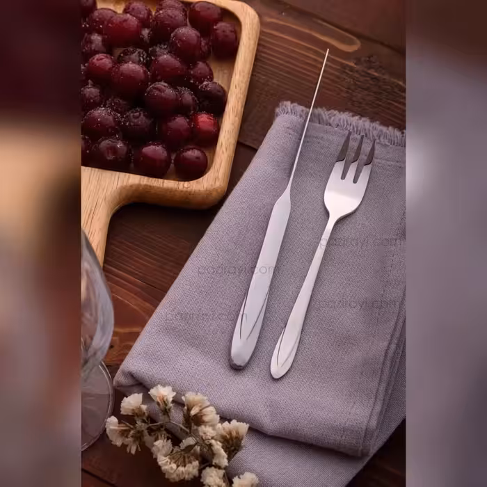 کارد و چنگال میوه خوری 12 پارچه رولنزا مدل A48