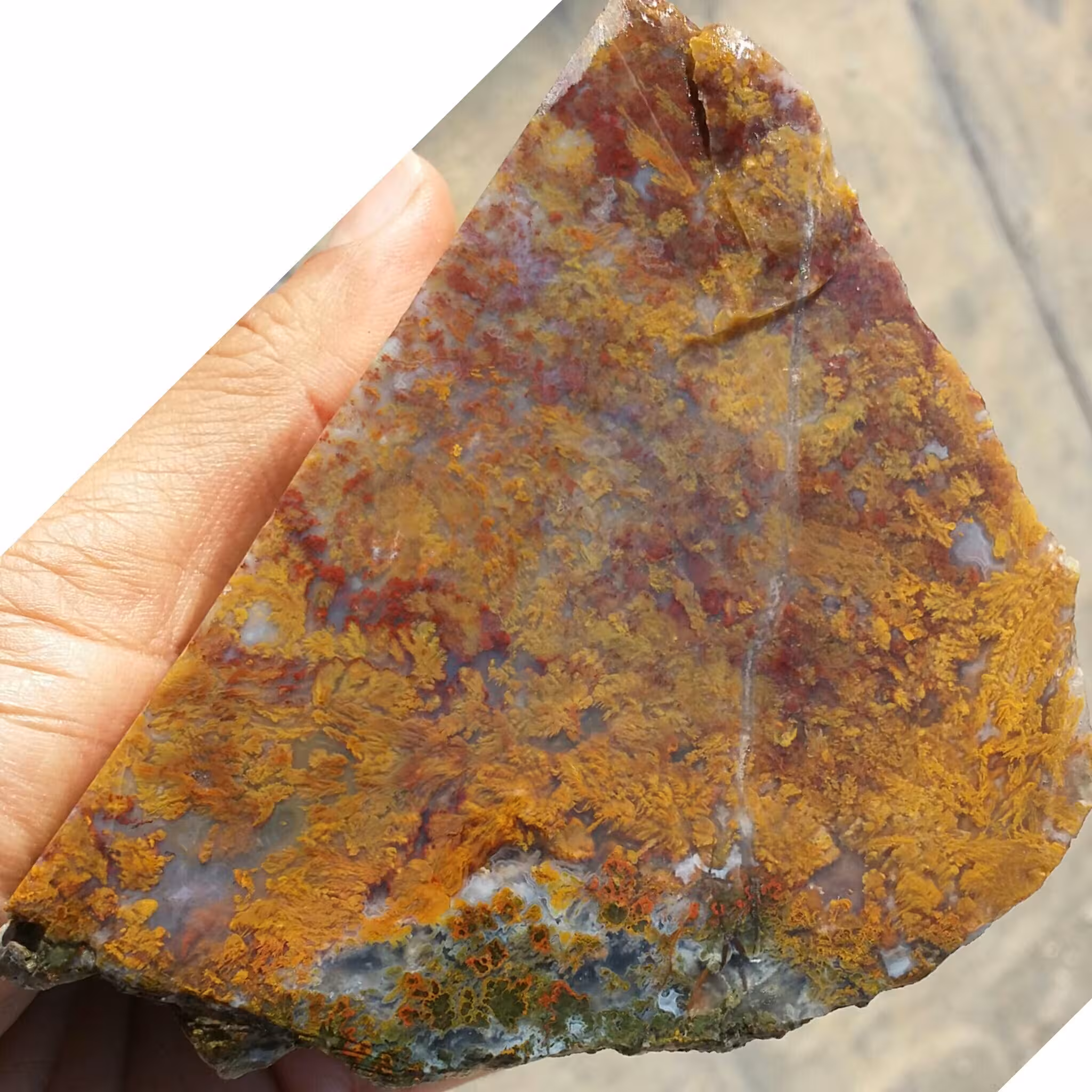 اسلایس سنگ راف غولپیکر عقیق شجر منظره 7رنگ شاهکار خلقت کاملا طبیعی
با قابلیت ساخت چندین نگین دیدنی و محشر
 کد 8365