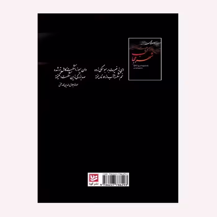 كتاب شهر عجايب اثر صالح واحدي انتشارات گويا