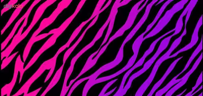 ماگ طرح zebra