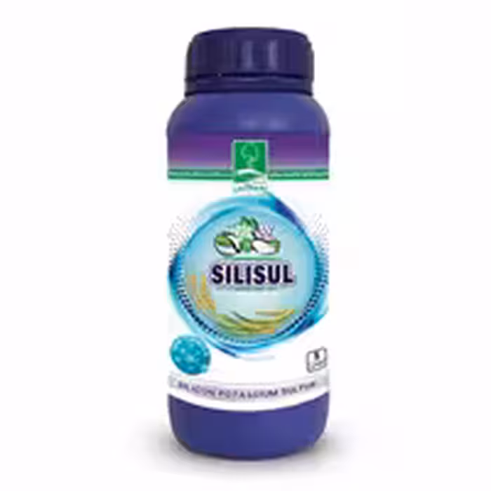 کود سیلیکات پتاسیم سیلیسول به ماکس