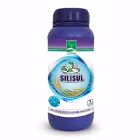 کود سیلیکات پتاسیم سیلیسول به ماکس