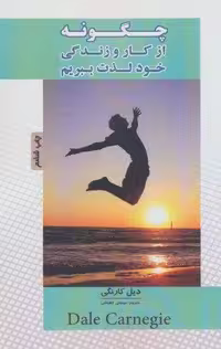 چگونه از کار و زندگی خود لذت ببریم (شمیز،رقعی،پل)