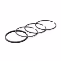 رینگ پیستون بی ام و 730 اتاق E66