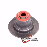 کاسه نمد ساق سوپاپ رنو تندر90 ساندرو