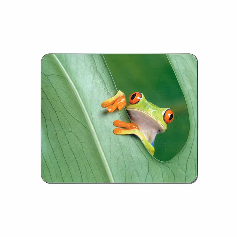 خرید و قیمت ماوس پد طرح قورباغه کد 3708