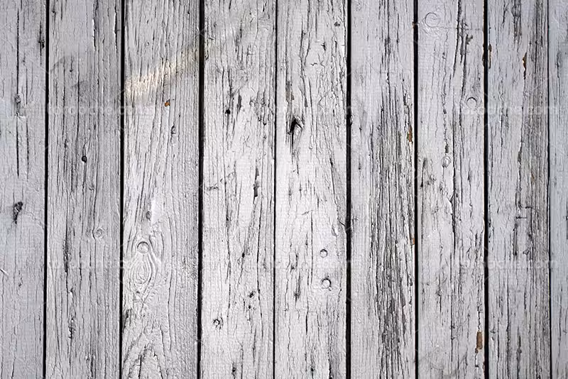 بک گراند چوب | گرافیک با طعم تربچه