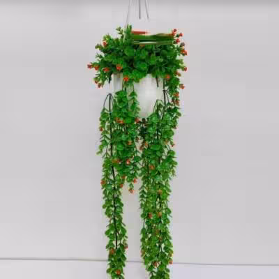 شمشاد اویز بزرگ