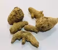 زرومباد-زرنباد (100گرمی )