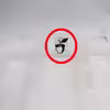 جاقاشقی مدل بلوط کد YP-RY-T89
