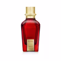 عطر مردانه اکستریت د پارفوم پرانا Rovelt Prana حجم 100 میلی‌لیتر