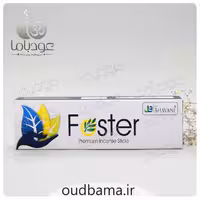 عود دست ساز فوستر FOSTER (باوانی BHAVANI)