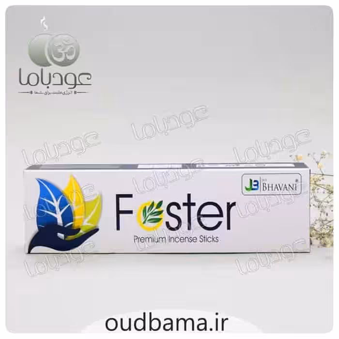 عود دست ساز فوستر FOSTER (باوانی BHAVANI)