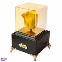 باکس گل جاودان گل آنلاین مدل موزیکال کد 25