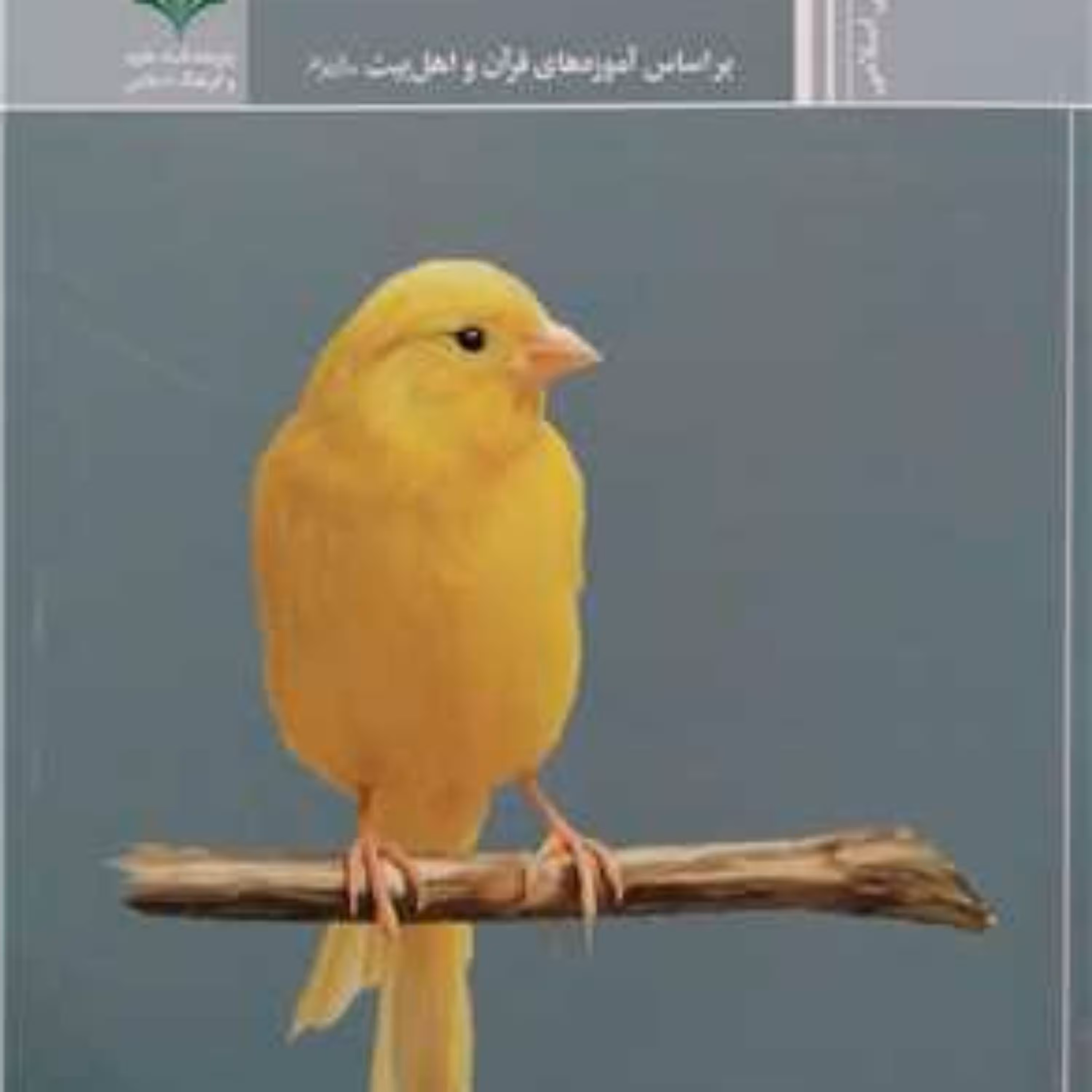 کتاب رفتار با حیوانات براساس آموزه های قر آن و اهل بیت (ع) رفتار با حیوانات پژوهشگاه علوم