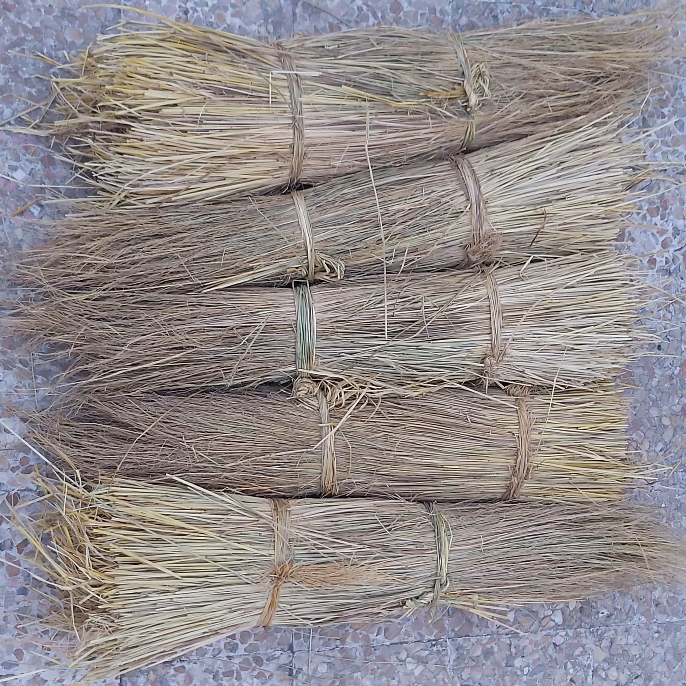 کولوش یا کُلوش (ساقه برنج)