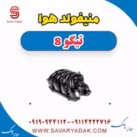منیفولد هوا تیگو 8