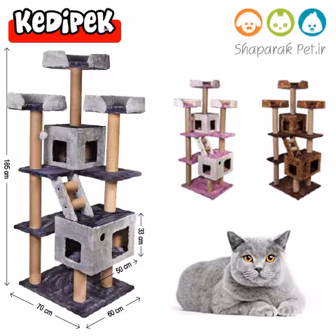 اسکرچر مدل گردو کدی پک