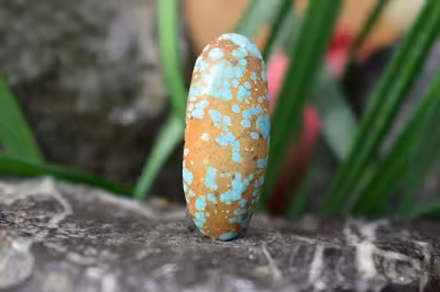 فیروزه نیشابور