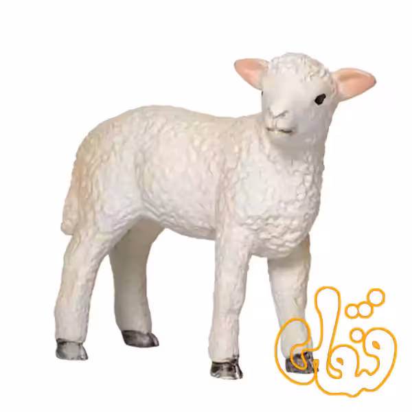فیگور بره رامنی ایستاده موجو Romney Lamb Standing 381065