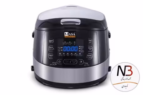 پلوپز-آرام پز ناسا الکتریک NS-3081