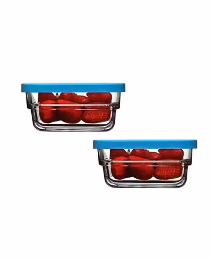 ظروف نگهدارنده فریزری 2 تایی پاشاباغچه  Gourmet