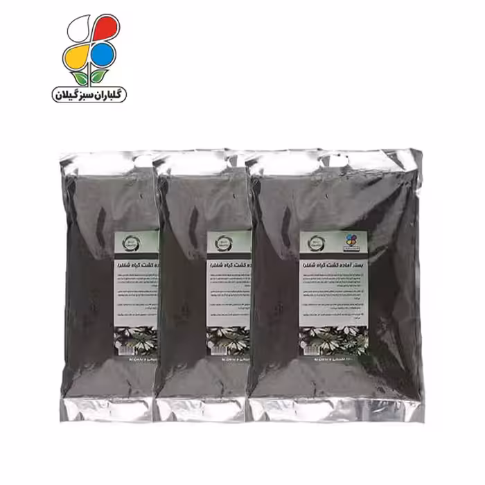 بستر آماده کشت شفلرا 4 کیلوگرمی بسته سه عددی