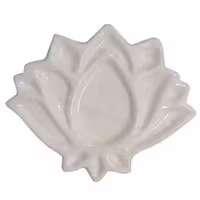 پالت سرامیکی مدل لوتوس (وندا Lotus)