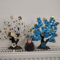 درختچه چشم زخم