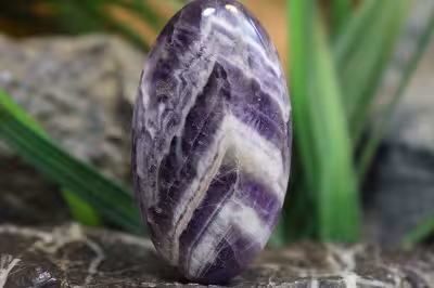 امتیست شورون