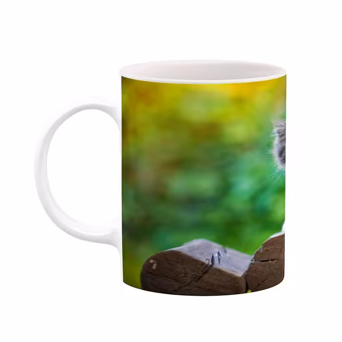 ماگ کاکتی طرح گربه مدل mgs14423