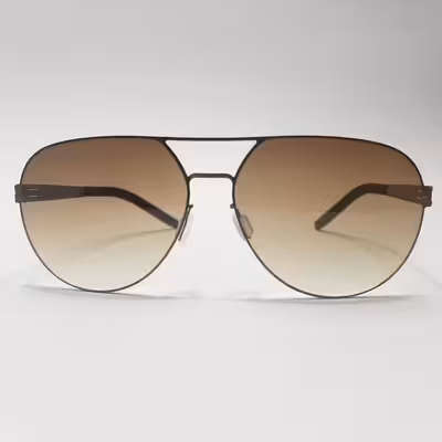 عینک آفتابی ایس برلین مدل DAHLIAB.br