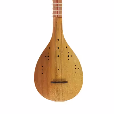 سه تار علی سواری مدل مهدیس