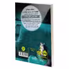 کتاب توتو گربه ی نینجا 2 سرقت پنیر بزرگ اثر درموت اولیری انتشارات پرتقال