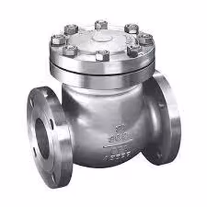 شیر یکطرفه دریچه ای &quot;4 کلاس 300 استنلس استیل