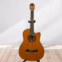 گیتار هنرجویی رنگ قهوه ای  به همراه سافت کیس و ارسال رایگان به سراسر ایران