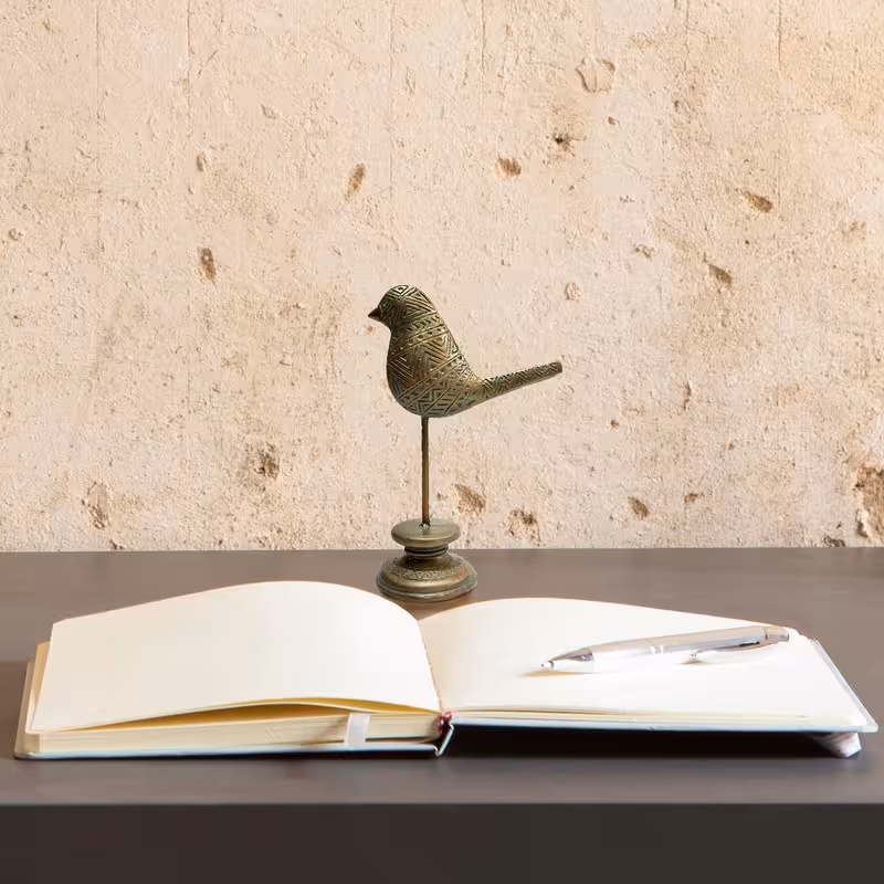 تندیس مدل مرغ آمین