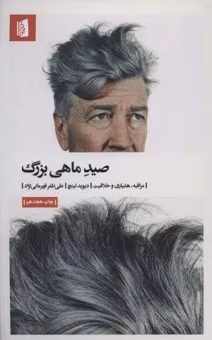 صید ماهی بزرگ (مراقبه،هشیاری و خلاقیت)