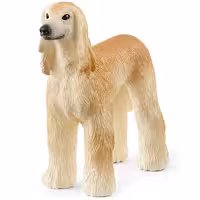 سگ تازی افغان اشلایش Schleich