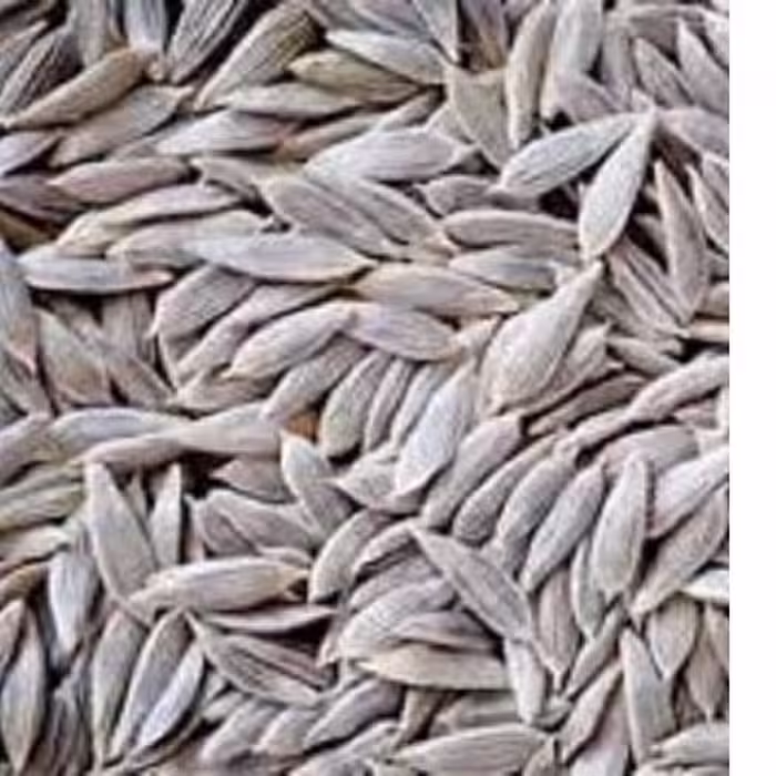 تخم کاهو 100 گرمی 