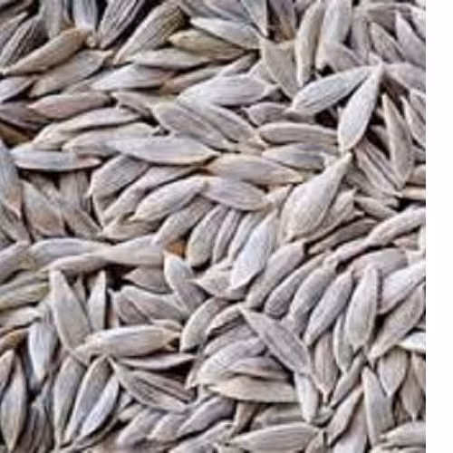 تخم کاهو 100 گرمی