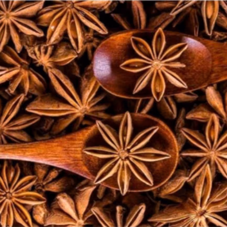 بادیان ستاره ای ( 100 گرمی )