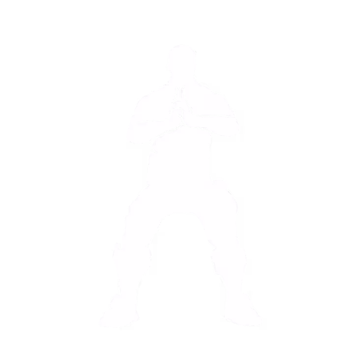 Summoning Jutsu