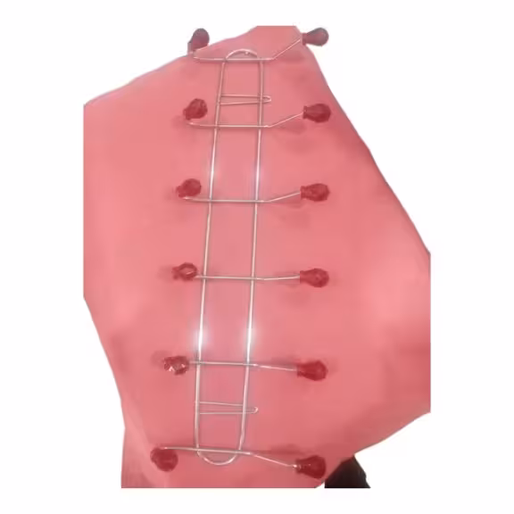 دیوار کوب سر کریستال