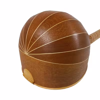 سه تار علی سواری مدل مهدیس